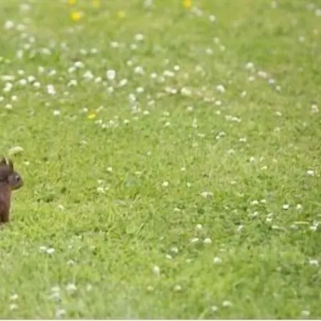 Armidale Bed & Breakfast Workington