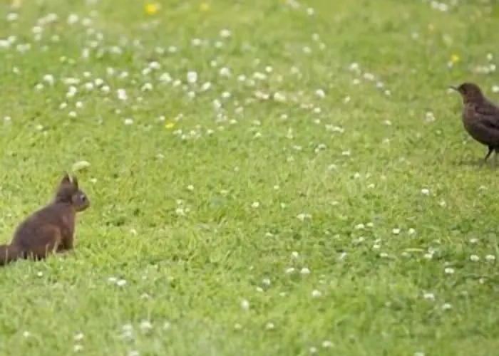 Armidale فندق مبيت وإفطار ووركينجتون